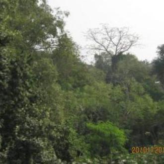 View at Gokulananda Pitha