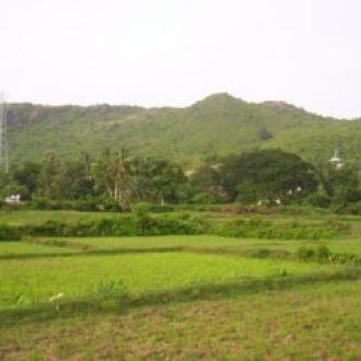 View of Rukhi Pahad,Nayagarh