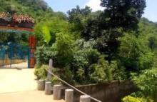 Mahavir Khol Dasapalla