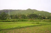 View of Rukhi Pahad,Nayagarh